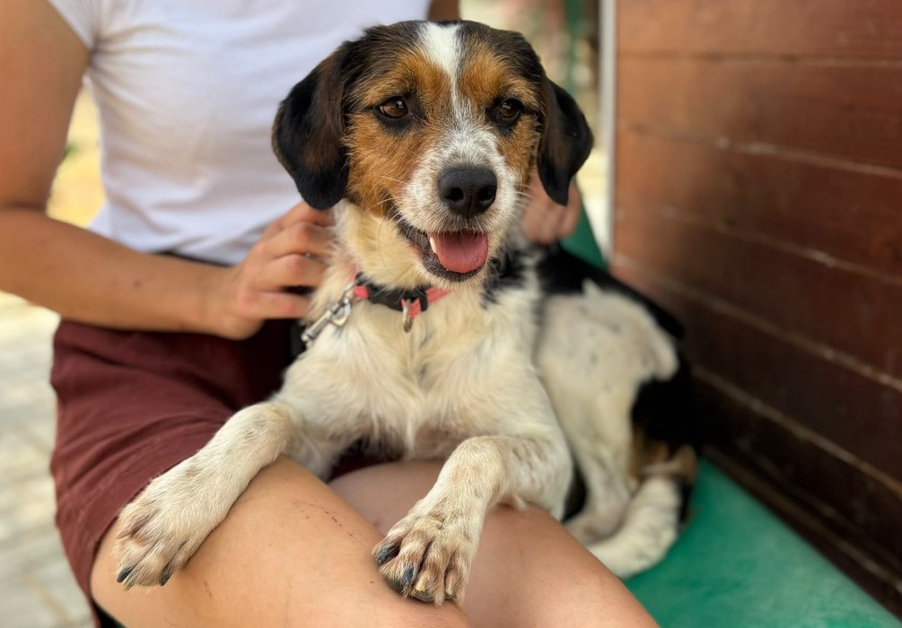 Heidi00