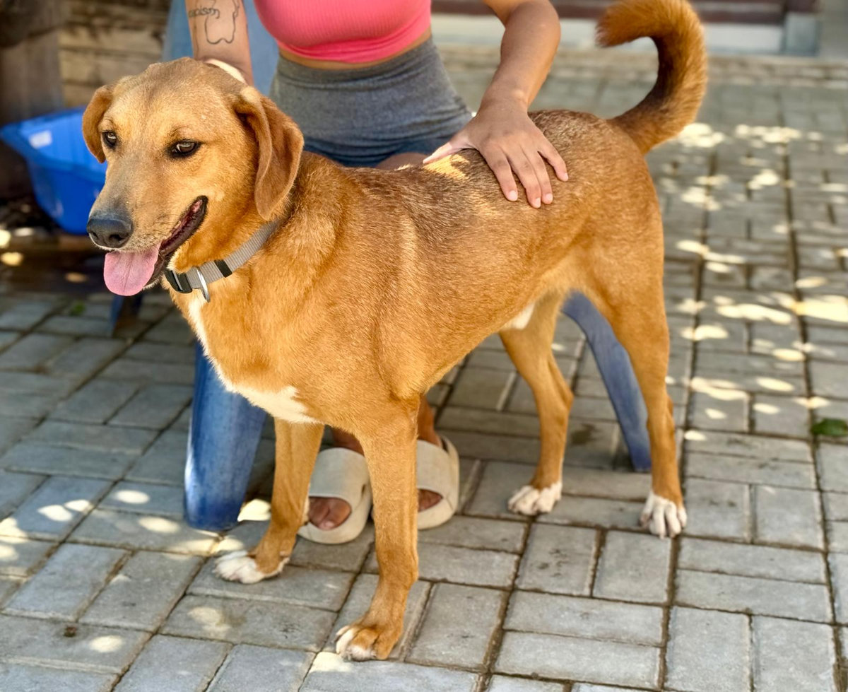 Samuel10